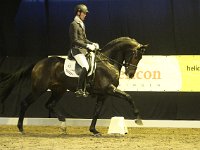 Don Tango 201113_1751